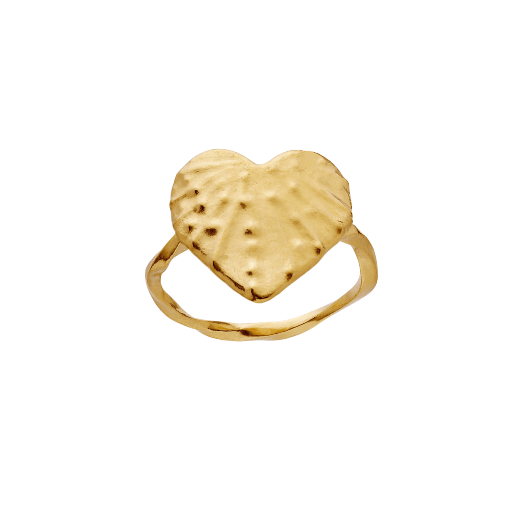 Shop Cardissa Ring Goud Maanesten Online