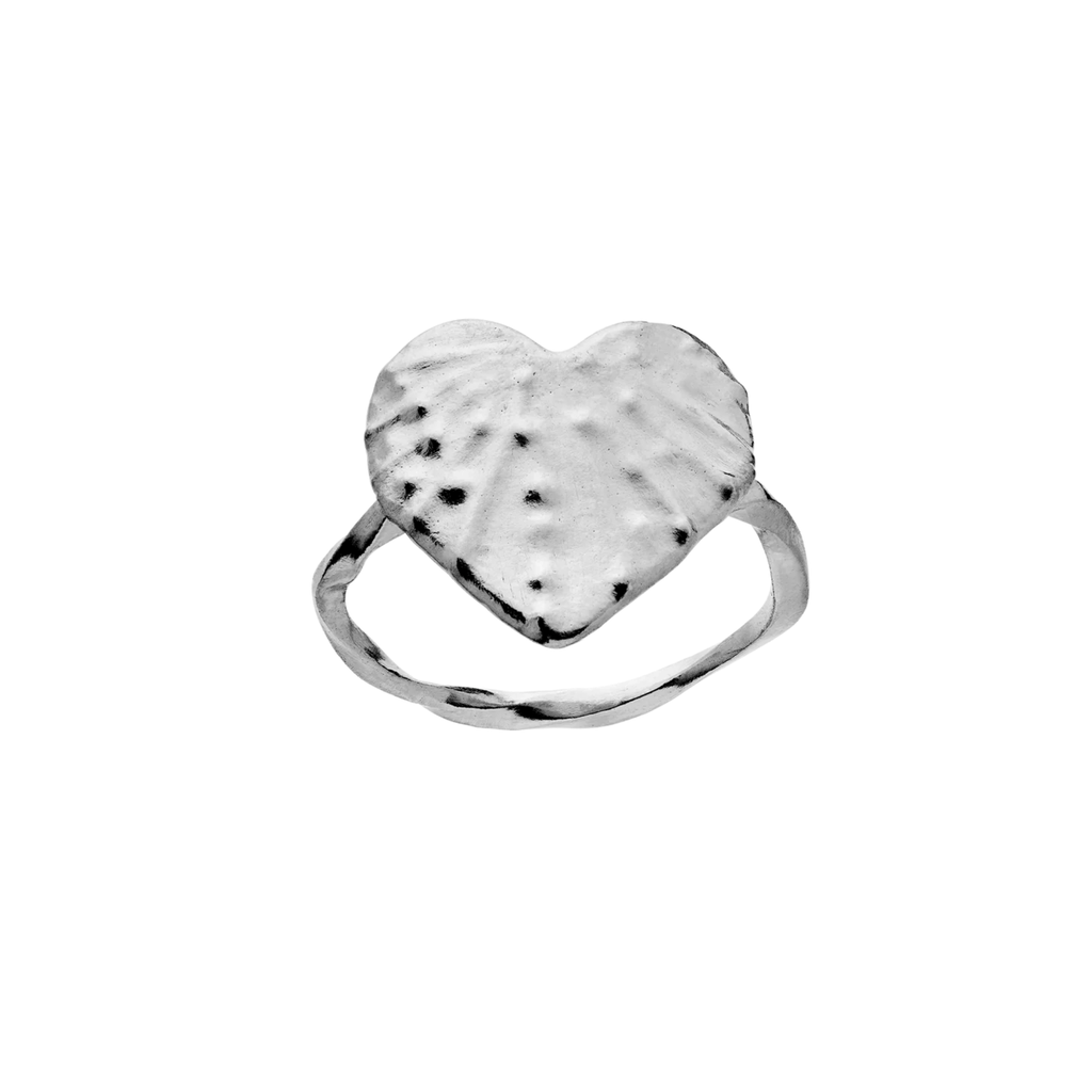 Shop Cardissa Ring Zilver Maanesten Online